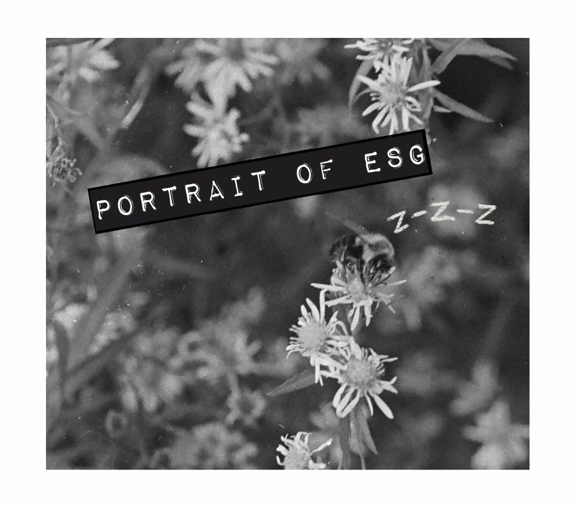 A Portrait of Elizabeth St. Garden